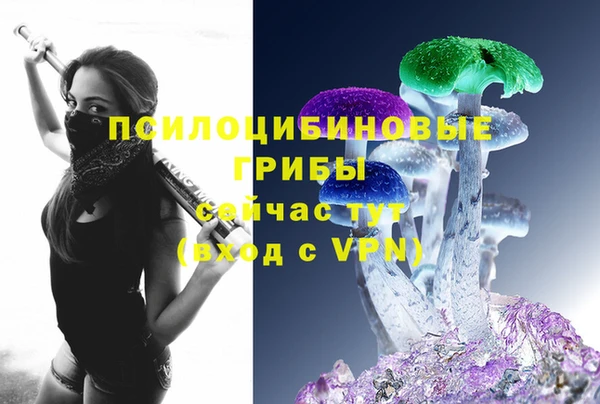 стаф Алексин