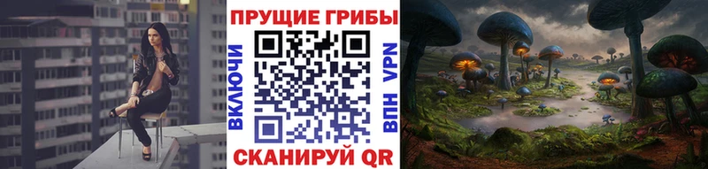 Галлюциногенные грибы Psilocybine cubensis  Нижняя Салда 
